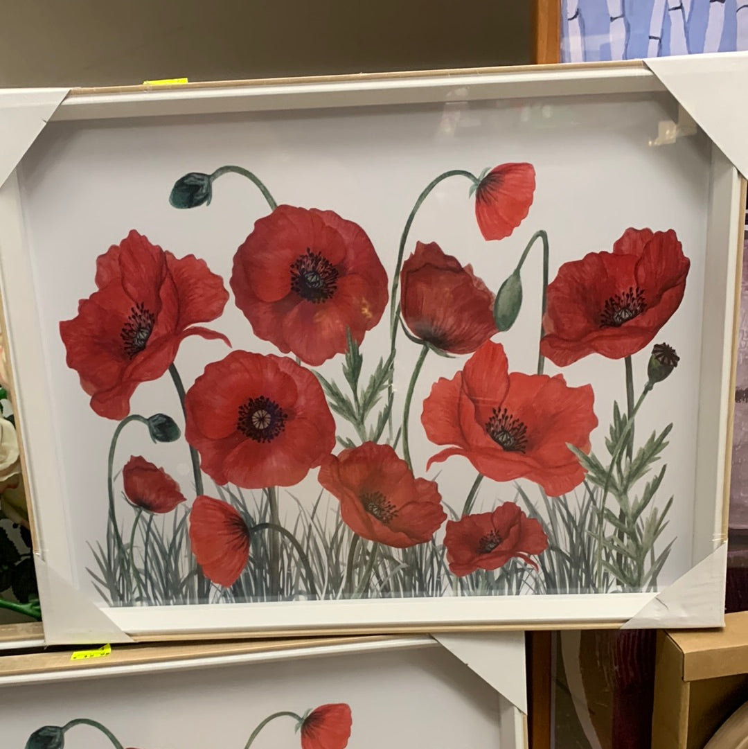 POPPY Picture FRAMED