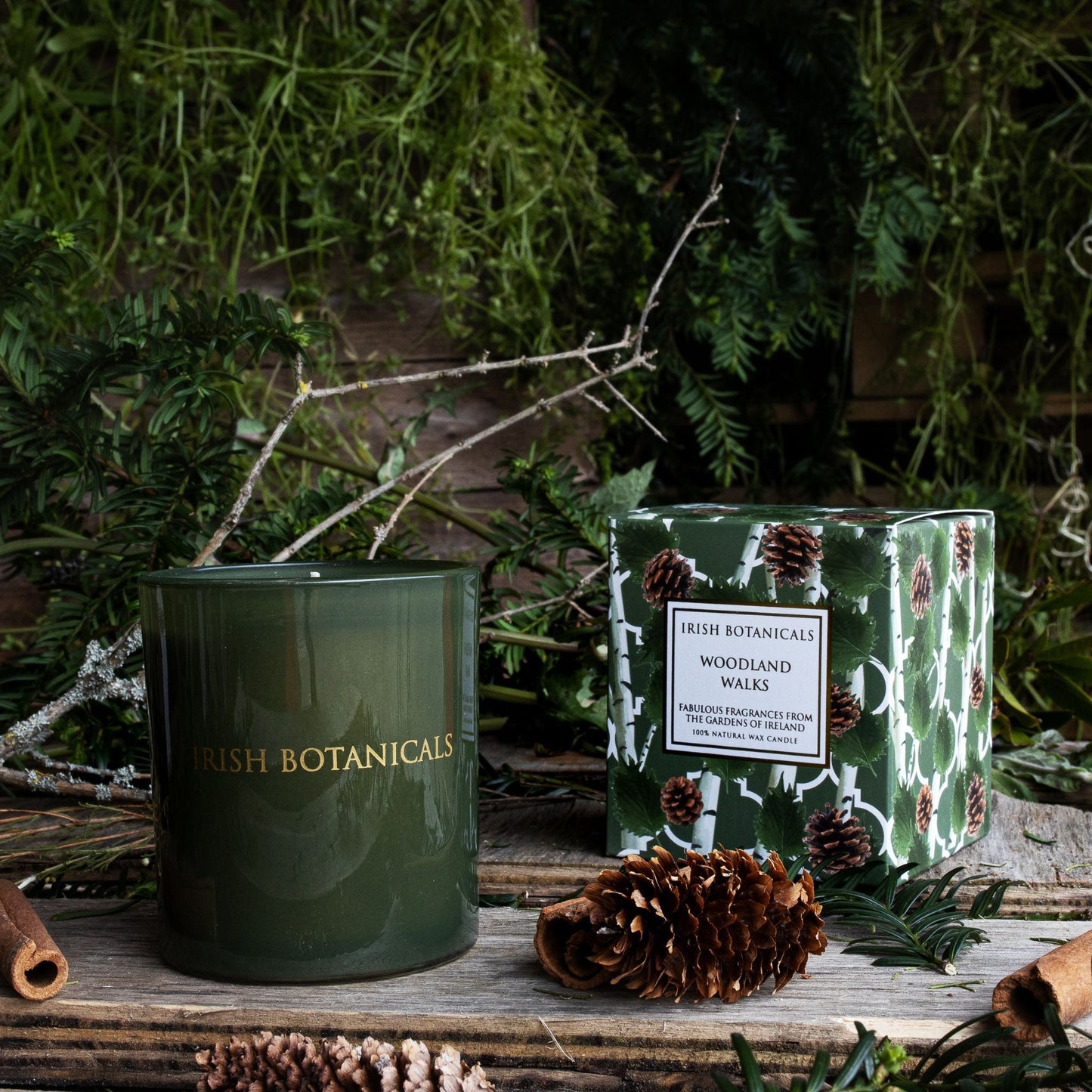 Woodland Walks Candle